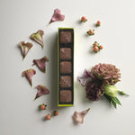 Whimsy Chocolates 5 Piece Salted Caramels